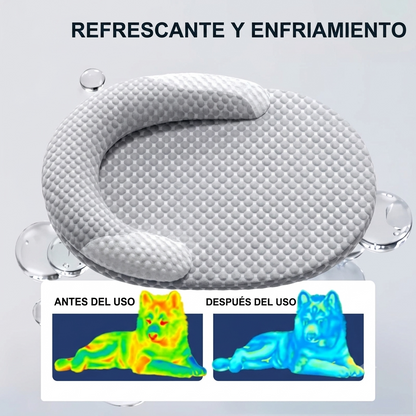 Cama refrescante para perros