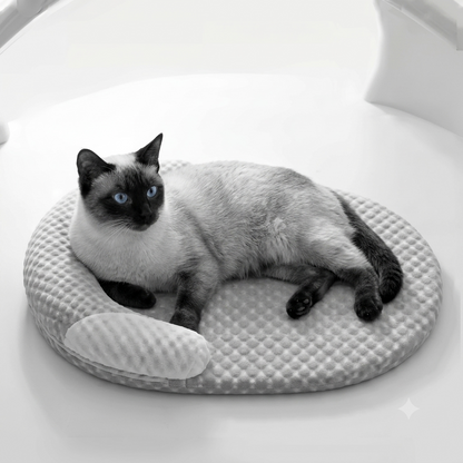 Cama refrescante para perros